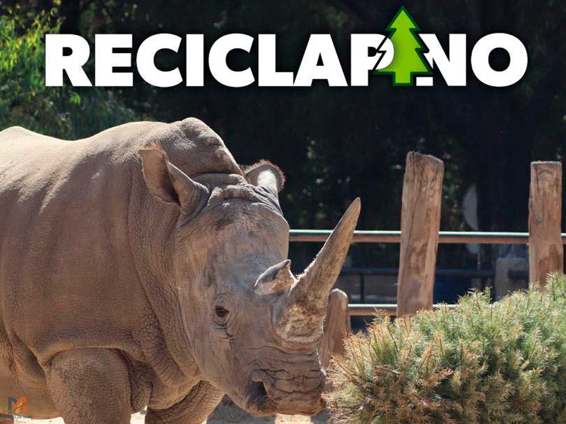 Zoológico de Morelia invita a participar en Reciclapino 2026