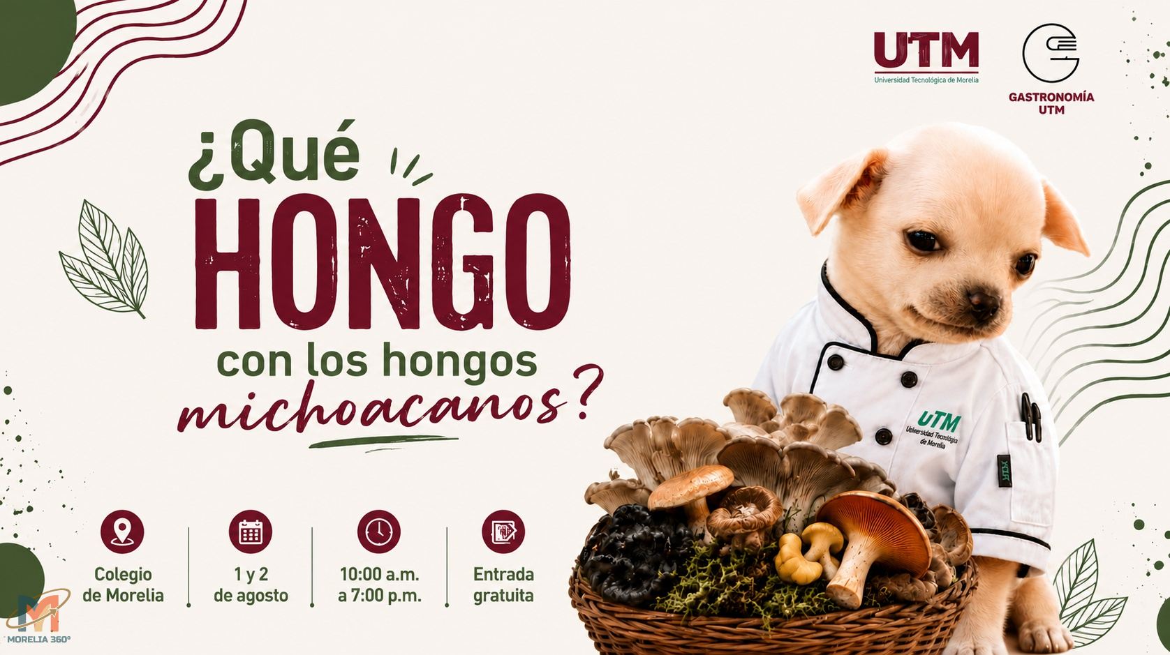 Fungi Fest Morelia 2026 reunirá ciencia, cultura y gastronomía en torno a los hongos de Michoacán