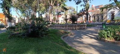Jardín de la Soterraña